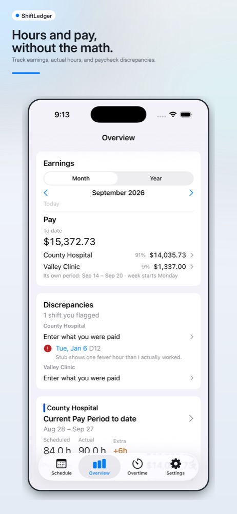 The Overview tab: earnings, actual hours and paycheck discrepancies